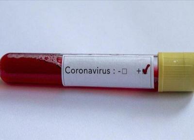 محققان جهان ادعای 2نوع ویروس کرونا را زیر سوال بردند