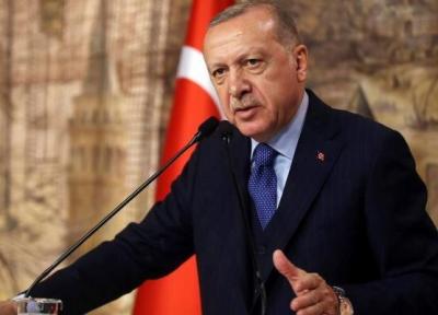اردوغان: طمعی به ثروت های لیبی نداریم